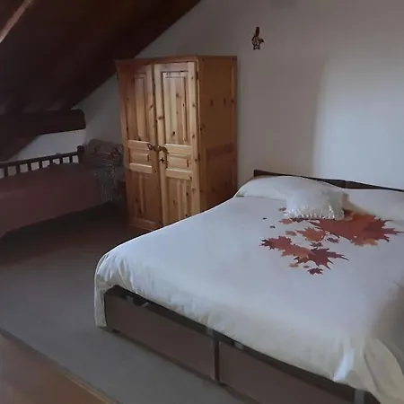 Tana Della Volpe 1 *